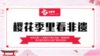 樱花季里看非遗