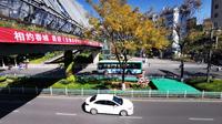 COP15将于10月在昆明举办，目前各项筹备工作有序推进