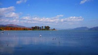 玉溪市江川区打造“口袋公园”，助推美丽滨湖花园城市建设