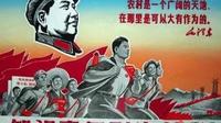 告诉你，我不是“上山下乡”知识青年