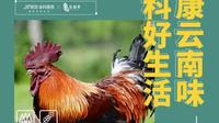 周末活动预告|品味健康生活 云南季携手金科服务推出重磅好礼