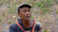 大山深处的守蜜人：坚守信念，方得甜蜜