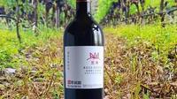 东风庄园酒庄-尼果30年玫瑰蜜干红葡萄酒一一源自法国“血统”的美酒