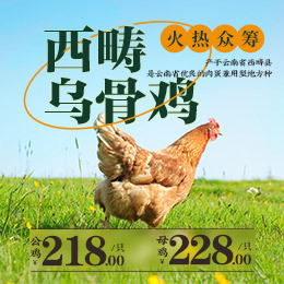 西畴乌骨鸡积分兑换公鸡218元/只母鸡228元/只 