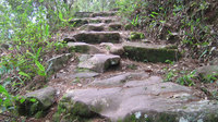瓦竜茶马古道重见天日 古六大茶山又现新遗址