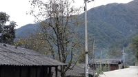 古当梨梨膏发展前景广阔