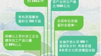 我省出台意见 推动茶产业绿色发展