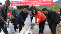 丽江市永胜县程海增殖放流土著鱼苗51万尾