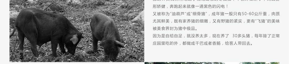 龙巴庄园详情_19.jpg