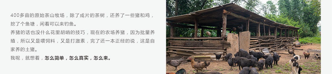 龙巴庄园详情_20.jpg