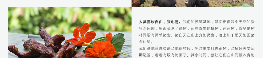 龙巴庄园详情_21.jpg