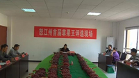 怒江州举办首届“草果王”评选比赛, 普拉底草果摘得桂冠