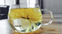 疫情宅家之宝：清热降火、舒肝明目    一朵花就能泡一壶茶