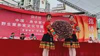 中国·南华第十七届野生菌美食文化节暨农民丰收节开幕