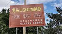 从双江双龙古茶园开始   我爱上茶