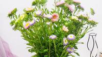 东篱听菊——陶渊明心底的爱