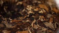 欢声笑语相衬，老曼峨“茶王”“茶后”开采