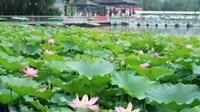 陈圆圆梳妆台与莲花池今昔故事