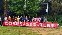 云南双龙茶业携众茶友迎国庆探秘古茶山