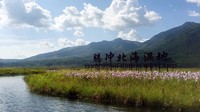 腾冲北海 ：尽显生物多样性之美