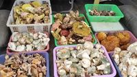   赴山林之约 品菌香灵动“第十九届中国（云南）野生食用菌交易会”将在易门开幕
