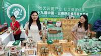 “小菌子撑起大产业”第十九届中国.云南菌交会野菌飘香
